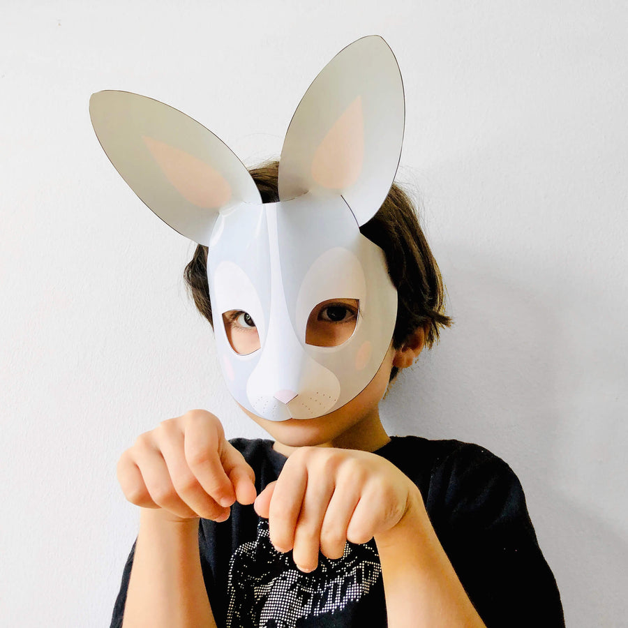 KIDS MASKS - DIY simple animal masks made out of paper – Lucas Papel Tijera