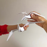 Flying pteranodons made out of paper