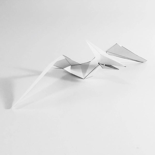 Paper Pteranodon DIY Toy